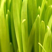 ddos网页在线攻击