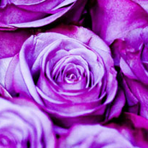 ddos在线攻击测试网站