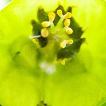 批发代理充值的怎么攻击网站